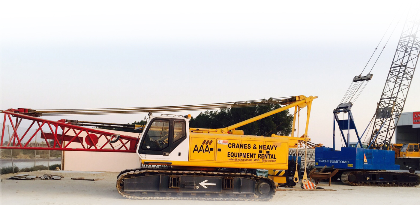 mobile cranes rental services